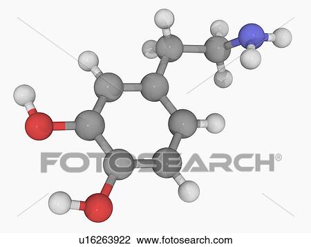 Dopamine molecule View Large Illustration Drawing - Dopamine molecule. Fotosearch