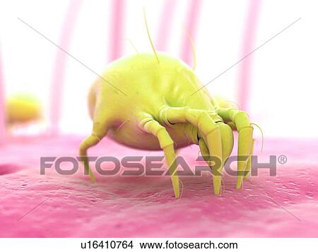 Stock Illustration - Dust mite, artwork. Fotosearch
