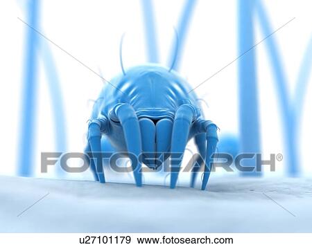 Stock Illustration - Dust mite, artwork. Fotosearch