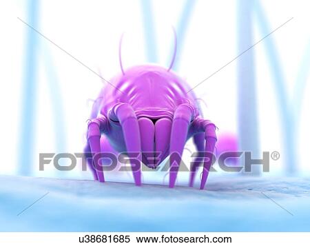 Dust mite, artwork View Large Illustration Stock Illustration - Dust mite, artwork. Fotosearch