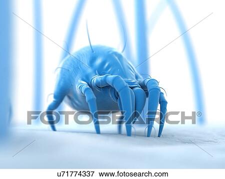 Stock Illustration - Dust mite, artwork. Fotosearch