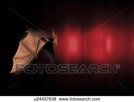 Stock Illustration - Echolocation, artwork. Fotosearch