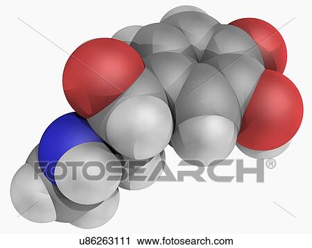 Epinephrine molecule View Large Illustration Clip Art - Epinephrine molecule. Fotosearch