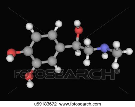 Epinephrine molecule View Large Illustration Drawing - Epinephrine molecule. Fotosearch