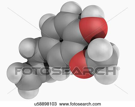 Eugenol molecule View Large Illustration Drawing - Eugenol molecule. Fotosearch
