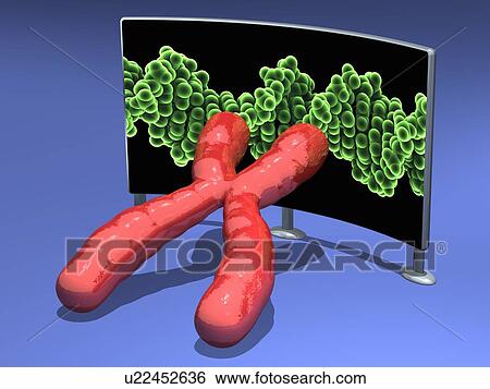 Genetic research, conceptual image View Large Illustration Stock Illustration - Genetic research, conceptual image. Fotosearch