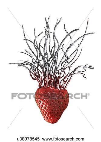 Stock Illustration - Genetically modified strawberry, artwork. Fotosearch