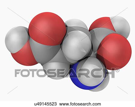Glutamic acid molecule View Large Illustration Drawing - Glutamic acid molecule. Fotosearch