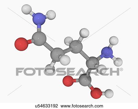 Drawing - Glutamine molecule. Fotosearch
