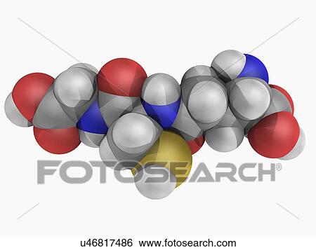 Glutathione molecule View Large Illustration Stock Illustration - Glutathione molecule. Fotosearch