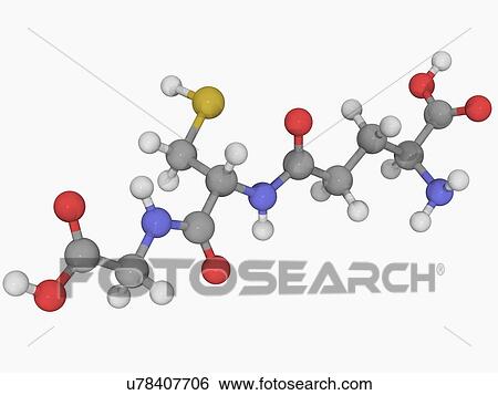 Stock Illustration - Glutathione molecule. Fotosearch