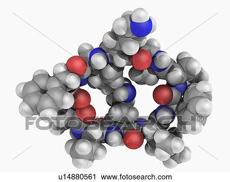Gramicidin S drug molecule View Large Illustration Clip Art - Gramicidin S drug molecule. Fotosearch