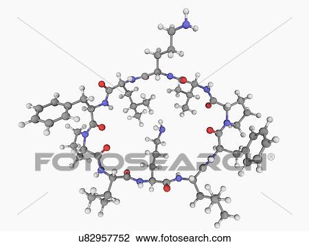 Gramicidin S drug molecule View Large Illustration Drawing - Gramicidin S drug molecule. Fotosearch