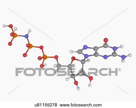 Stock Illustration - Guanylil imidodiphosphate molecule. Fotosearch