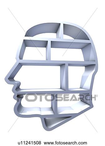 Head profile with brain compartments View Large Illustration Stock Illustration - Head profile with brain compartments. Fotosearch