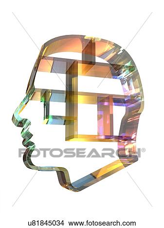 Head profile with brain compartments View Large Illustration Stock Illustration - Head profile with brain compartments. Fotosearch