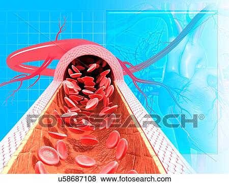 Stock Illustration - Healthy artery, artwork. Fotosearch
