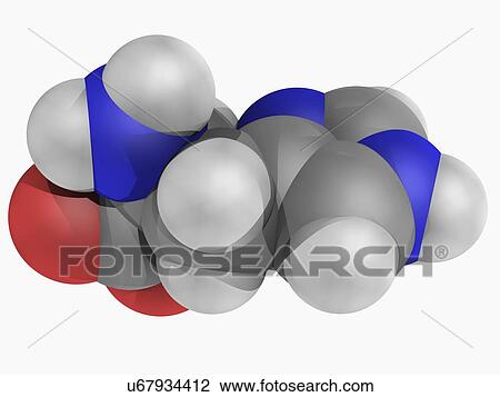 Histidine molecule View Large Illustration Drawing - Histidine molecule. Fotosearch