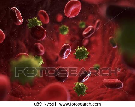 HIV infection, artwork View Large Illustration Clip Art - HIV infection, artwork. Fotosearch