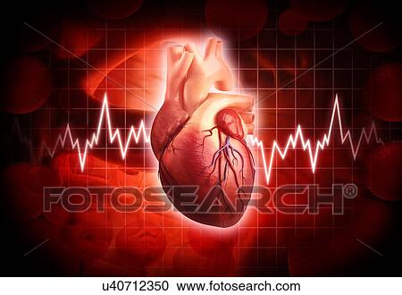 Human heart, artwork View Large Illustration Clipart - Human heart, artwork. Fotosearch