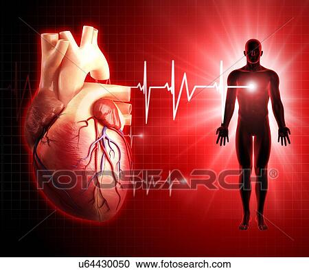 Clipart - Human heart, artwork. Fotosearch