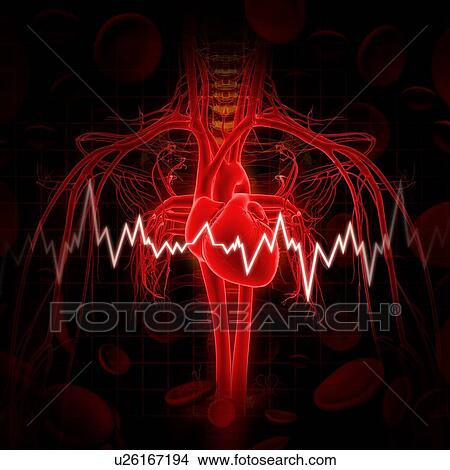 Stock Illustration - Human heart, artwork. Fotosearch