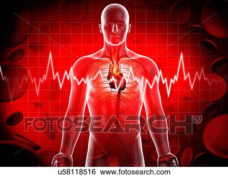 Stock Illustration - Human heart, artwork. Fotosearch