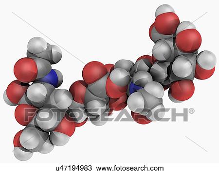 Drawing - Hyaluronic acid molecule. Fotosearch