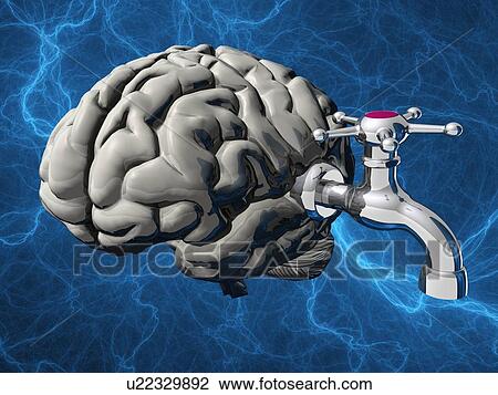 Drawing - Hydrocephalus, conceptual artwork. Fotosearch