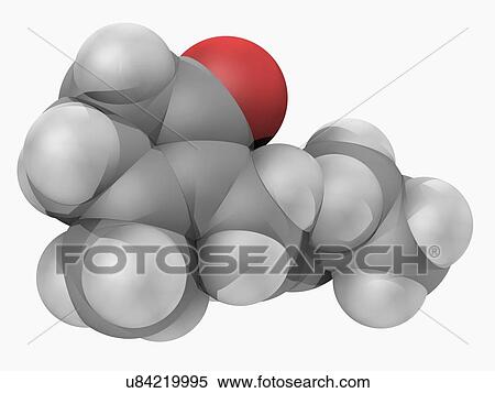 Jasmone molecule View Large Illustration Stock Illustration - Jasmone molecule. Fotosearch
