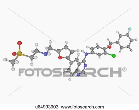 Lapatinib drug molecule View Large Illustration Drawing - Lapatinib drug molecule. Fotosearch