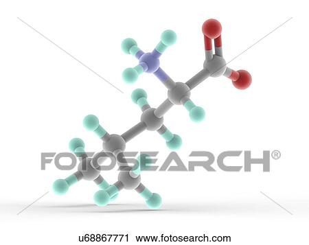 Leucine molecule View Large Illustration Clip Art - Leucine molecule. Fotosearch