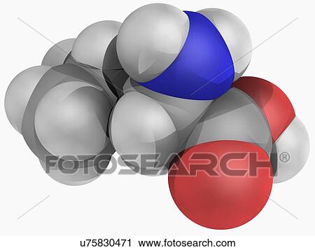 Leucine molecule View Large Illustration Clip Art - Leucine molecule. Fotosearch