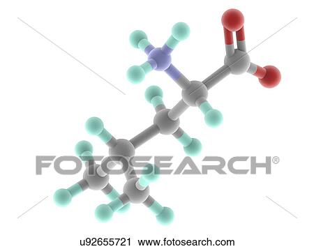 Clip Art - Leucine molecule. Fotosearch