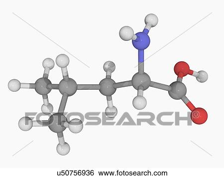 Leucine molecule View Large Illustration Stock Illustration - Leucine molecule. Fotosearch