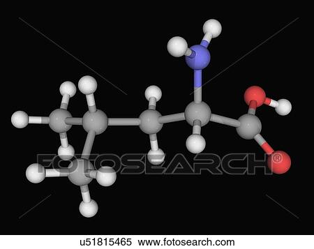 Stock Illustration - Leucine molecule. Fotosearch