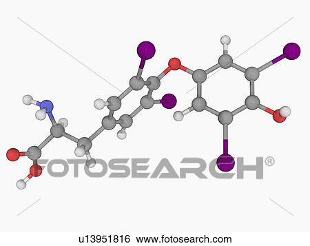 Stock Illustration - Levothyroxine drug molecule. Fotosearch