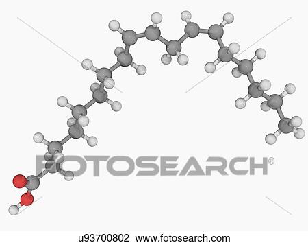 Linoleic acid molecule View Large Illustration Drawing - Linoleic acid molecule. Fotosearch