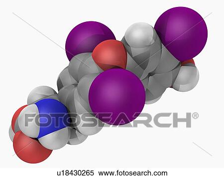 Liothyronine hormone molecule View Large Illustration Stock Illustration - Liothyronine hormone molecule. Fotosearch