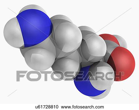 Lysine molecule View Large Illustration Clipart - Lysine molecule. Fotosearch