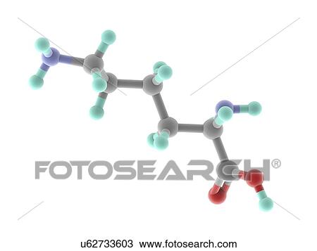 Drawing - Lysine molecule. Fotosearch