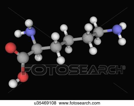Stock Illustration - Lysine molecule. Fotosearch