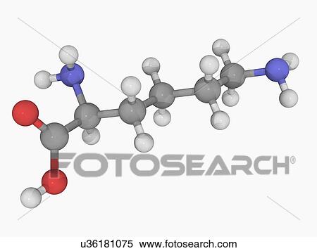 Stock Illustration - Lysine molecule. Fotosearch