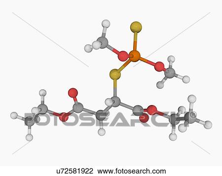 Malathion insecticide molecule View Large Illustration Drawing - Malathion insecticide molecule. Fotosearch