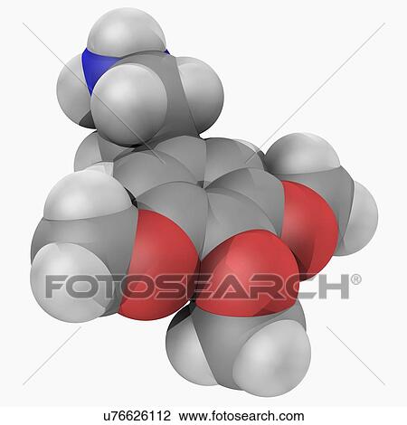 Drawing - Mescaline drug molecule. Fotosearch