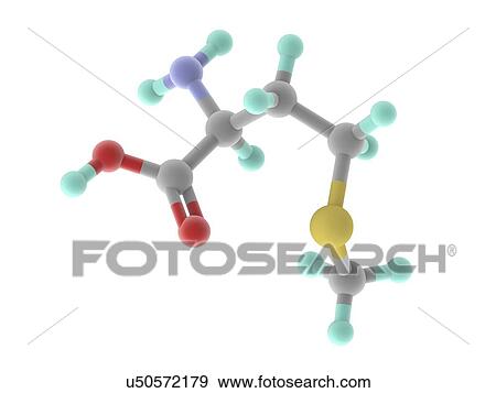 Methionine molecule View Large Illustration Stock Illustration - Methionine molecule. Fotosearch
