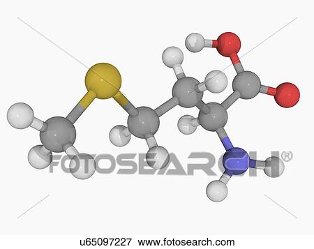 Methionine molecule View Large Illustration Stock Illustration - Methionine molecule. Fotosearch