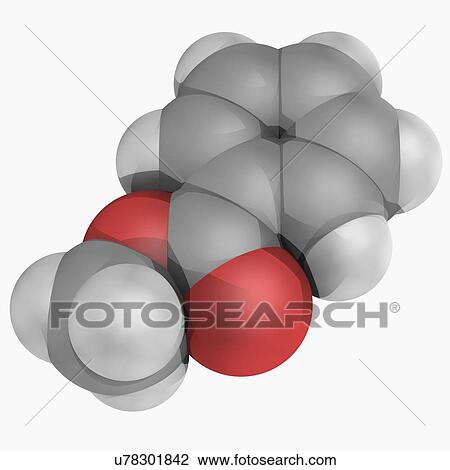 Drawing - Methyl benzoate molecule. Fotosearch