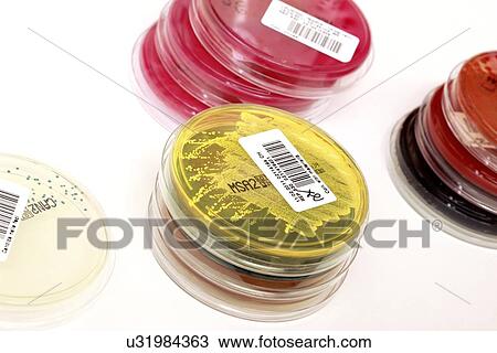 Microbiology research View Large Illustration Drawing - Microbiology research. Fotosearch