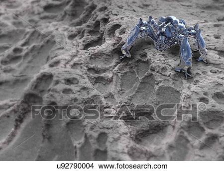 Microrobot, conceptual artwork View Large Illustration Stock Illustration - Microrobot, conceptual artwork. Fotosearch